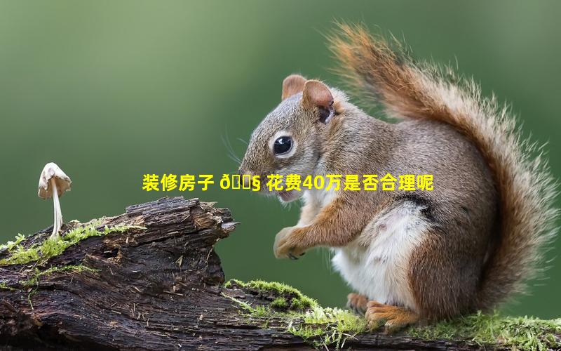 装修房子 🐧 花费40万是否合理呢